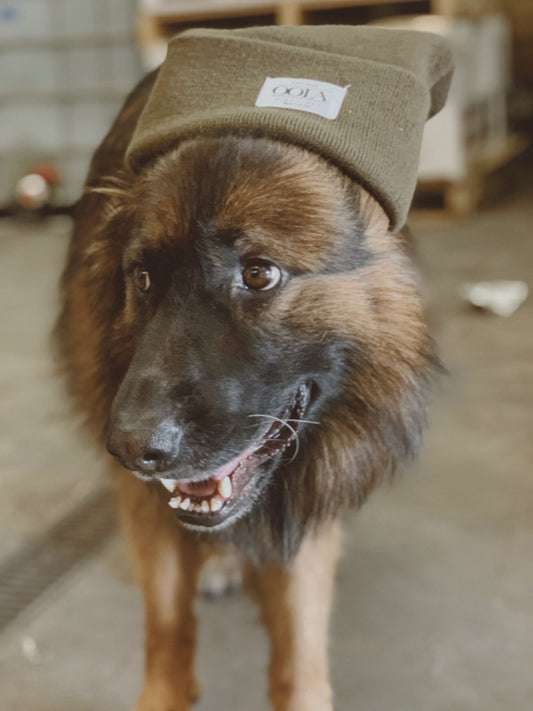 OOLA Beanie (forest green)